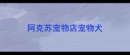 阿克苏宠物店宠物犬