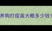 养狗打疫苗大概多少钱