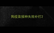狗疫苗接种失败补打