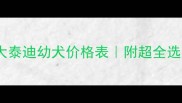 上海一个月大泰迪幼犬价格表附超全选购避坑指南
