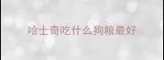 哈士奇吃什么狗粮最好