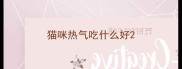 猫咪热气吃什么好