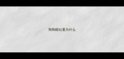 狗狗呕吐是为什么