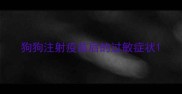 狗狗注射疫苗后的过敏症状