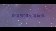 泰迪狗狗发情玩具