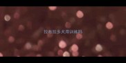 拉布拉多犬用训练吗