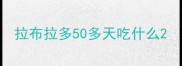 拉布拉多50多天吃什么