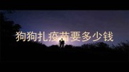 狗狗扎疫苗要多少钱