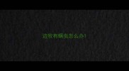 边牧有螨虫怎么办