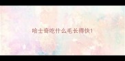 哈士奇吃什么毛长得快
