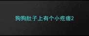 狗狗肚子上有个小疙瘩