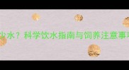 拉布拉多幼犬一天喝多少水科学饮水指南与饲养注意事项附每日饮水量表