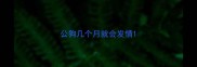 公狗几个月就会发情