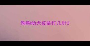 狗狗幼犬疫苗打几针