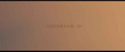 一只边牧幼崽多少钱一只