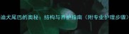 泰迪犬尾巴的奥秘结构与养护指南附专业护理步骤