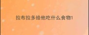 拉布拉多给他吃什么食物