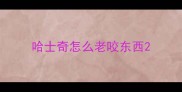哈士奇怎么老咬东西