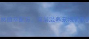 雷米高宠物沐浴露天然植萃配方深层滋养宠物肌肤的清洁方案最新版