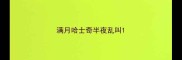 满月哈士奇半夜乱叫