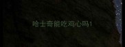 哈士奇能吃鸡心吗