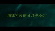 猫咪打疫苗可以洗澡么
