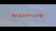 狗打疫苗用什么针管