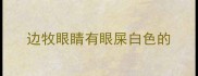 边牧眼睛有眼屎白色的