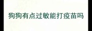 狗狗有点过敏能打疫苗吗