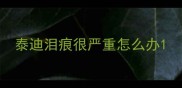 泰迪泪痕很严重怎么办