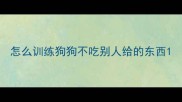 怎么训练狗狗不吃别人给的东西