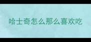 哈士奇怎么那么喜欢吃