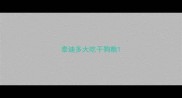 泰迪多大吃干狗粮