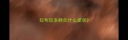 拉布拉多肺炎什么症状