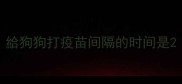 給狗狗打疫苗间隔的时间是