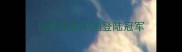 拉布拉多中国登陆冠军