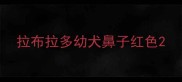 拉布拉多幼犬鼻子红色