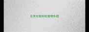 北京比较好的宠物乐园
