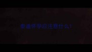 泰迪怀孕应注意什么