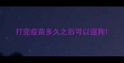 打完疫苗多久之后可以遛狗