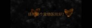 扬州哪个宠物医院好
