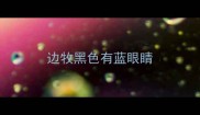 边牧黑色有蓝眼睛