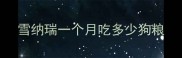 雪纳瑞一个月吃多少狗粮