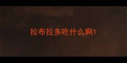 拉布拉多吃什么啊