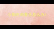 小狗吃鸡骨头怎么办
