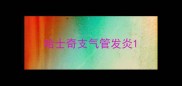 哈士奇支气管发炎