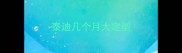 泰迪几个月大定型