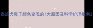 泰迪犬鼻子颜色变浅的7大原因及科学护理指南