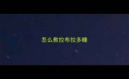 怎么教拉布拉多睡