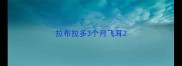 拉布拉多3个月飞耳